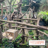 Ménagerie du Jardin des Plantes 2024 - nos photos