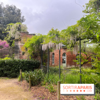 Ménagerie du Jardin des Plantes 2024 - nos photos - image00015