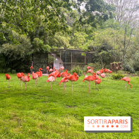 Ménagerie du Jardin des Plantes 2024 - nos photos