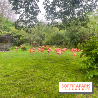 Ménagerie du Jardin des Plantes 2024 - nos photos