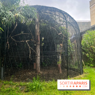 Ménagerie du Jardin des Plantes 2024 - nos photos