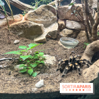 Ménagerie du Jardin des Plantes 2024 - nos photos
