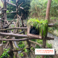 Ménagerie du Jardin des Plantes 2024 - nos photos