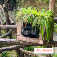 Ménagerie du Jardin des Plantes 2024 - nos photos