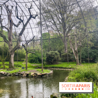 Ménagerie du Jardin des Plantes 2024 - nos photos