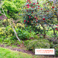 Parc de Choisy - Paris 13e -  A7C1232