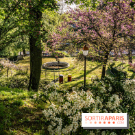 Parc du Dr Fauvel à Villennes sur Seine, grotte et cascades -  A7C1692 HDR