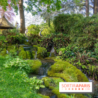 Parc du Dr Fauvel à Villennes sur Seine, grotte et cascades