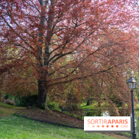 Parc du Dr Fauvel à Villennes sur Seine, grotte et cascades -  A7C1765 HDR
