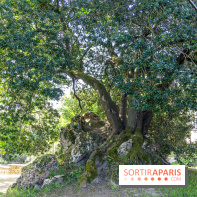 Parc du Dr Fauvel à Villennes sur Seine, grotte et cascades
