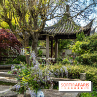 Jardin Yili, le jardin chinois caché dans les Yvelines -  A7C2189