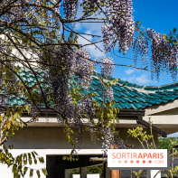 Jardin Yili, le jardin chinois caché dans les Yvelines -  A7C2197