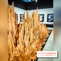 Arabofuturs : l'exposition entre science-fiction et prédictions à l'Institut du Monde Arabe - photos - IMG20240422100149