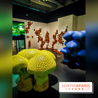 Arabofuturs : l'exposition entre science-fiction et prédictions à l'Institut du Monde Arabe - photos - IMG20240422101438