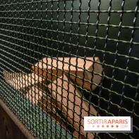 Nikito Domus : l'espace de loisirs immersif à Rosny-sous-Bois - IMG 6234