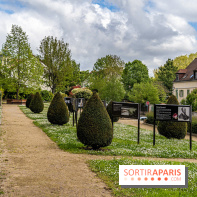 Village de Medan dans les Yvelines -  exposition de photos d'Emile Zola
