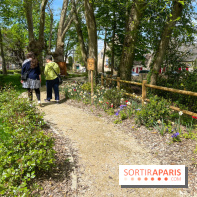 Le parc Lejars-Rouillon - nos photos - image00020