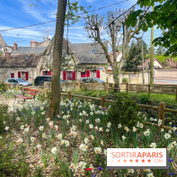 Le parc Lejars-Rouillon - nos photos - image00013