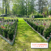 Le parc Lejars-Rouillon - nos photos - image00008