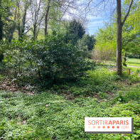 Le parc Lejars-Rouillon - nos photos - image00004