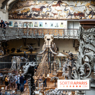 La Galerie de Paléontologie et d'Anatomie comparée du Muséum au Jardin des Plantes
