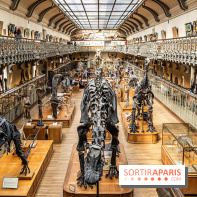 La Galerie de Paléontologie et d'Anatomie comparée du Muséum au Jardin des Plantes