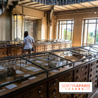 La Galerie de Paléontologie et d'Anatomie comparée du Muséum au Jardin des Plantes -  A7C7465