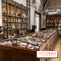 La Galerie de Paléontologie et d'Anatomie comparée du Muséum au Jardin des Plantes