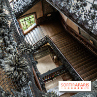 La Galerie de Paléontologie et d'Anatomie comparée du Muséum au Jardin des Plantes -  A7C7468