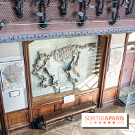 La Galerie de Paléontologie et d'Anatomie comparée du Muséum au Jardin des Plantes