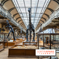 La Galerie de Paléontologie et d'Anatomie comparée du Muséum au Jardin des Plantes