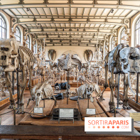 La Galerie de Paléontologie et d'Anatomie comparée du Muséum au Jardin des Plantes