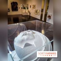 Le MAC-VAL, le musée d'art contemporain du Val-de-Marne et ses collections à portée de Navigo - Rodolfo Krasno