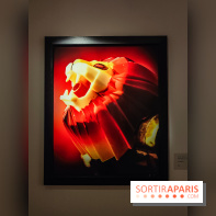 Andres Serrano - Portraits de l'Amérique : l'exposition photo se dévoile au Musée Maillol - IMG20240425110901