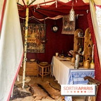 Les Rendez-vous de la Madeleine à Chevreuse -  A7C2482