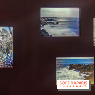 Natures vivantes : l'exposition photo qui met à l'honneur les jardins du musée Albert Kahn - photos