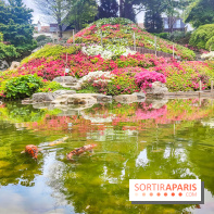 Natures vivantes : l'exposition photo qui met à l'honneur les jardins du musée Albert Kahn - photos