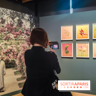 Natures vivantes : l'exposition photo qui met à l'honneur les jardins du musée Albert Kahn - photos