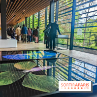 Natures vivantes : l'exposition photo qui met à l'honneur les jardins du musée Albert Kahn - photos
