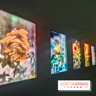Natures vivantes : l'exposition photo qui met à l'honneur les jardins du musée Albert Kahn - photos