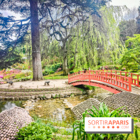Natures vivantes : l'exposition photo qui met à l'honneur les jardins du musée Albert Kahn - photos