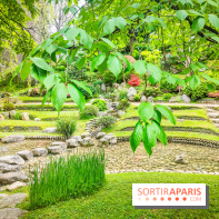 Natures vivantes : l'exposition photo qui met à l'honneur les jardins du musée Albert Kahn - photos