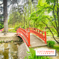 Natures vivantes : l'exposition photo qui met à l'honneur les jardins du musée Albert Kahn - photos