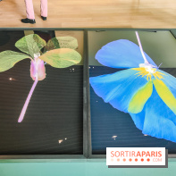 Natures vivantes : l'exposition photo qui met à l'honneur les jardins du musée Albert Kahn - photos