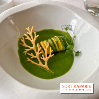 Mavrommatis : Menu Initiation - Mavrommatis