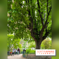 Jardin Villemin - nos photos