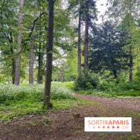 Le parc de Bois-Préau - nos photos