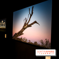 Reflets de la nature, nos photos de l'exposition