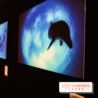 Reflets de la nature, nos photos de l'exposition