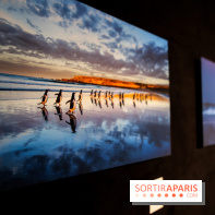 Reflets de la nature, nos photos de l'exposition